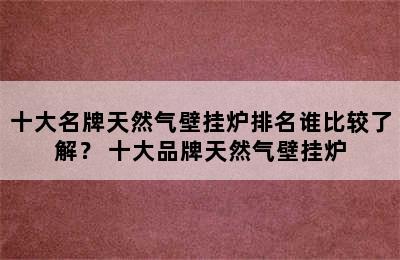 十大名牌天然气壁挂炉排名谁比较了解？ 十大品牌天然气壁挂炉